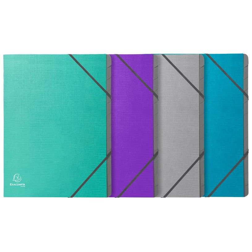 Trieur 12 positions - A4 - disponible dans différentes couleurs